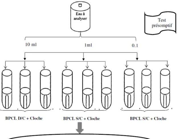 Figure 10:  Diagramme Recherche et dénombrement des coliformes totaux sur  milieu BCPL