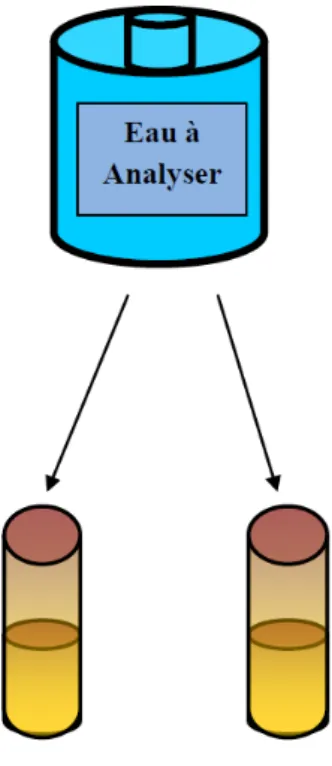Figure 12 : Diagrammede dénombrement des Clostridium sulfito-réducteur 