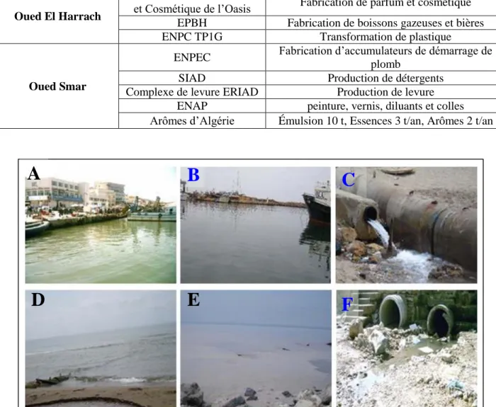 Tab. 8 : Quelques activités polluantes en baie d’Alger (PAC, 2005)  Zone industrielle  Unité industrielle  Nature de l’activité 