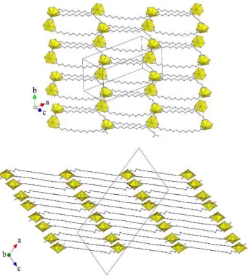 Fig.  2  Top:  View  of  the  2D  network.  Bottom:  Packing  with  four  bilayers  viewed  edge-on