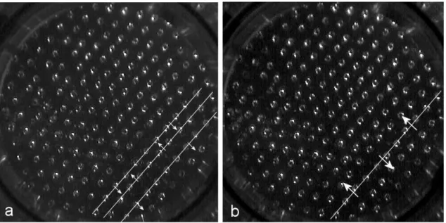 Fig. 3.7.: (a) Osillations de lignes : les èhes indiquent le sens de déplaement