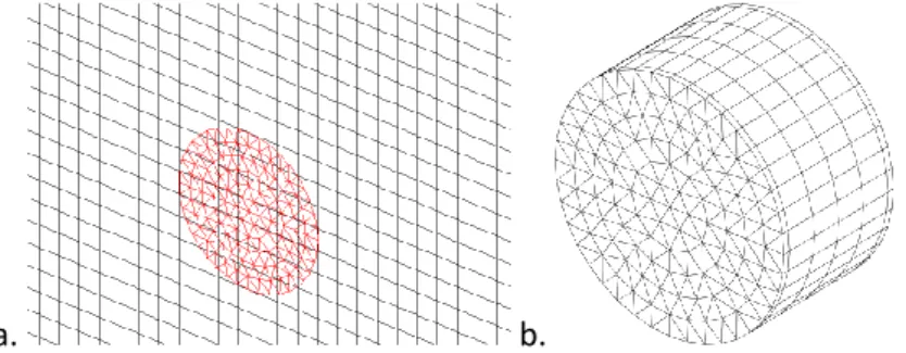 Figure 4 : Mesh of the steel cross section inside concrete (a) and mesh of the steel bar (b) with the 1D-3D  approach
