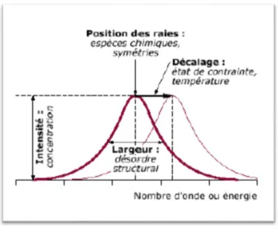 Figure 13:  Informations qualitatives et quantitatives fournies par une raie Raman. 