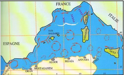 Figure 2. Courantologie de la mer Méditerranée Courants de profondeur (flèches en rouge)