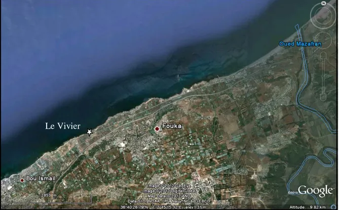 Figure 5 : Image satellitaire du site «les Trois Suisses» (Source Google earth, 2012)