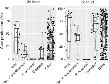 Figure S5. Wine/European strains sporulation efficiency.  