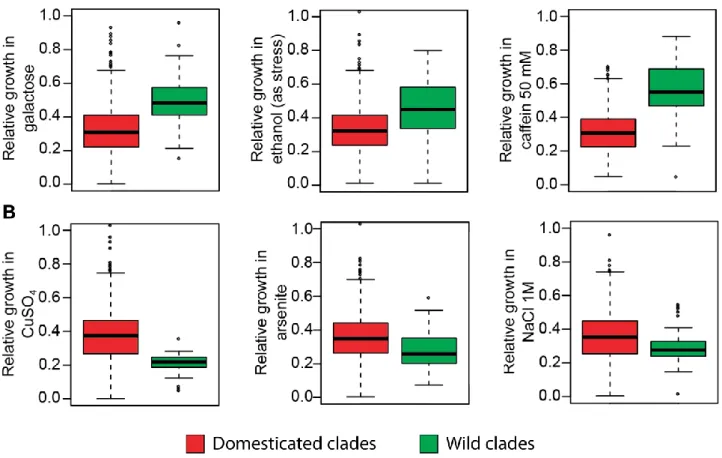 Figure  1.  Growth  fitness  is  shaped  by  domestication.  Boxplots  representing  the  growth  yield  of  domesticated (red) and wild (green) strains in different environments