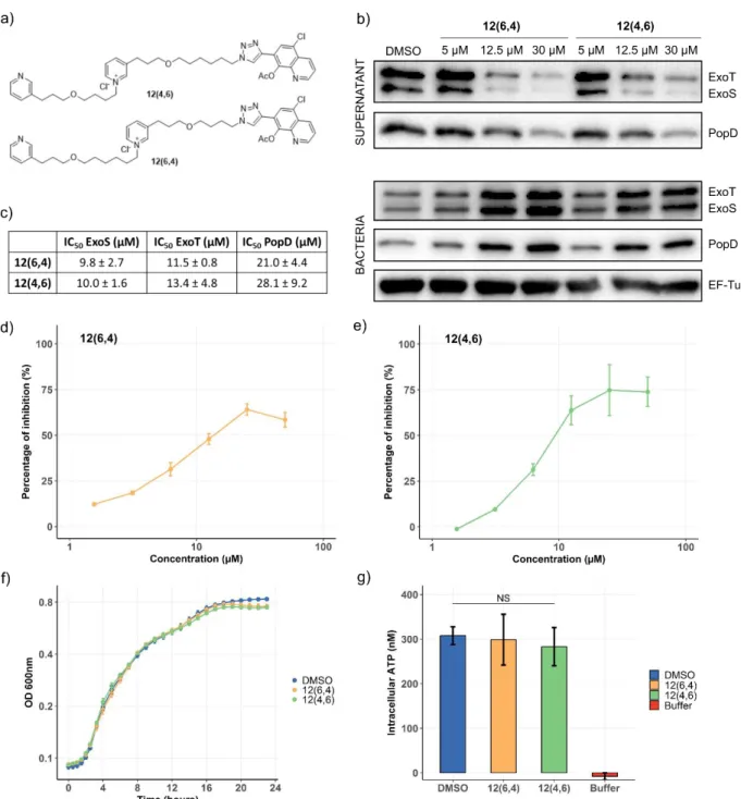 Figure 6: 12(6,4) and 12(4,6) inhibit in vitro secretion of T3SS proteins and do not affect bacterial fitness