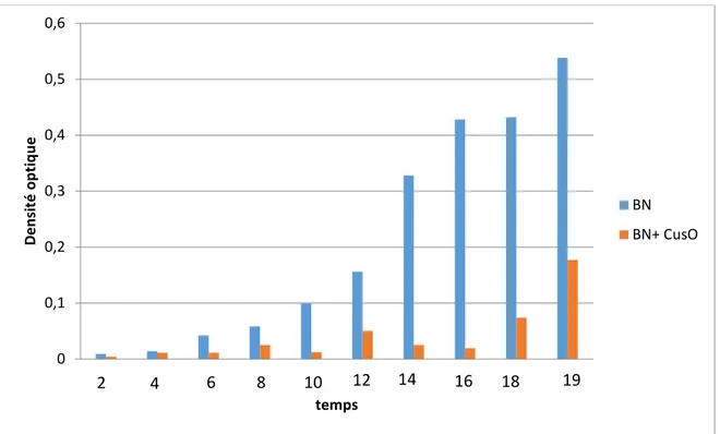 Figure 14. Évaluation de l’effet de sulfate de cuivre sur la croissance de Pseudomonas  fluorecens dans bouillon nutritif