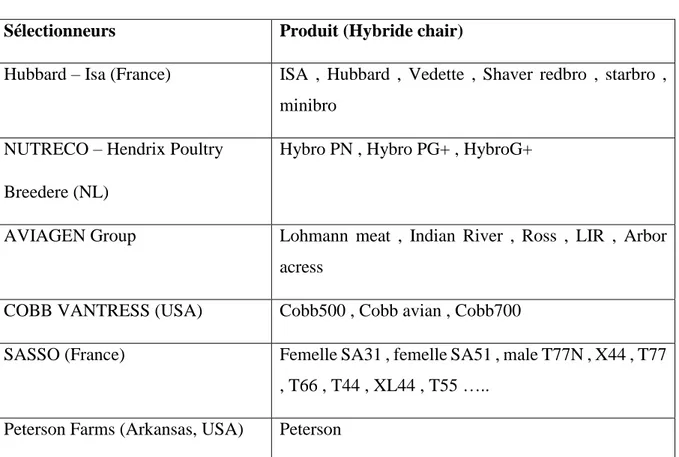 Tableau 1 : Les principaux sélectionneurs des hybrides de chair 