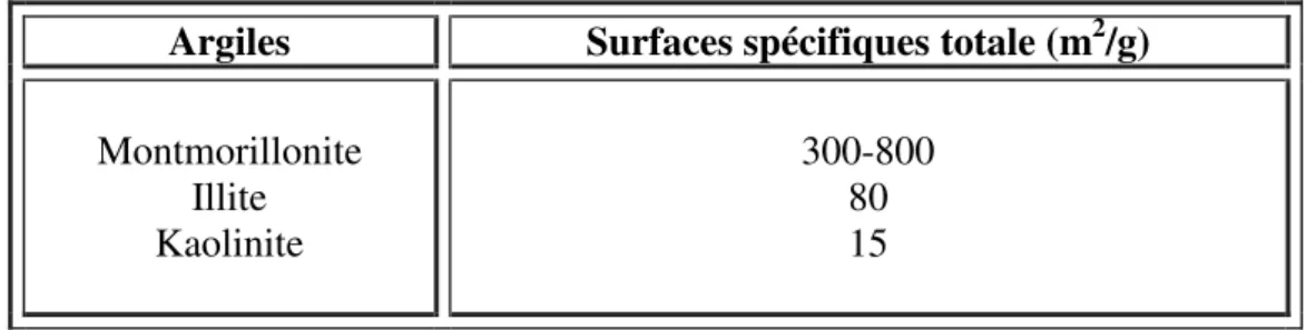 Tableau 2 : Surfaces spécifiques de quelques minéraux argileux (Holtz et Kovacs, 1991)