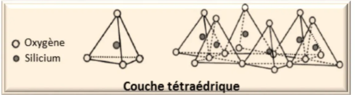 Figure 1 : Représentation de la couche tétraédrique (Morel, 1989). 