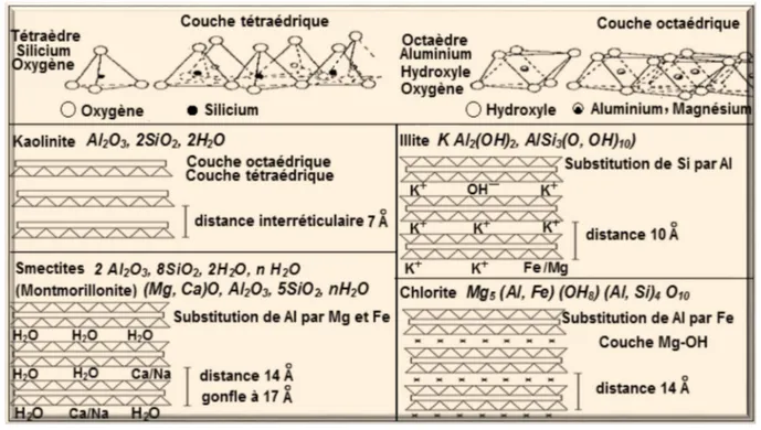 Figure 3 : Structure des minéraux argileux (Duchaufour, 1988).  