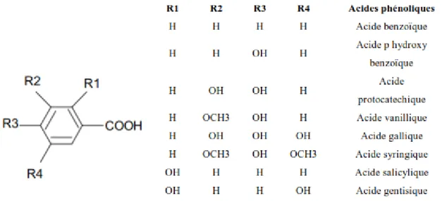 Figure 7 : Principaux acides hydroxybenzoïques (SARNI-MANCHADOet CHEYNIER, 2006). 