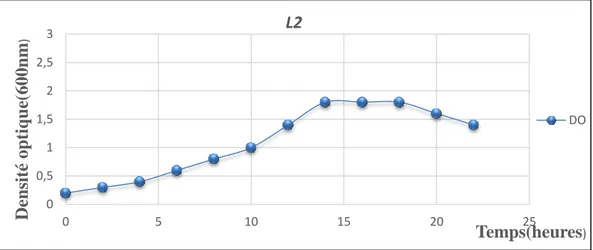 Figure 13: La courbe de croissance de la souche L2 sur  milieu MRS. 
