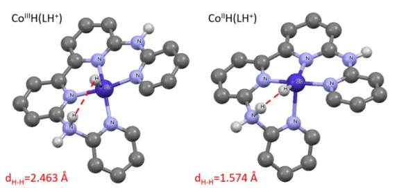 Figure  5.  DFT-calculated  structures  of  the  relevant  bis-protonated  Co III H(LH + )  and  Co II H(LH + )  intermediates