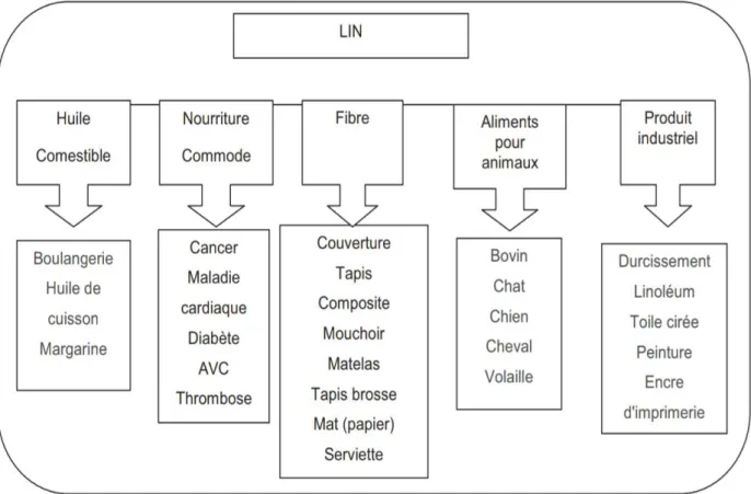 Figure 5 : Utilisation du lin. (Beroual, 2014). 
