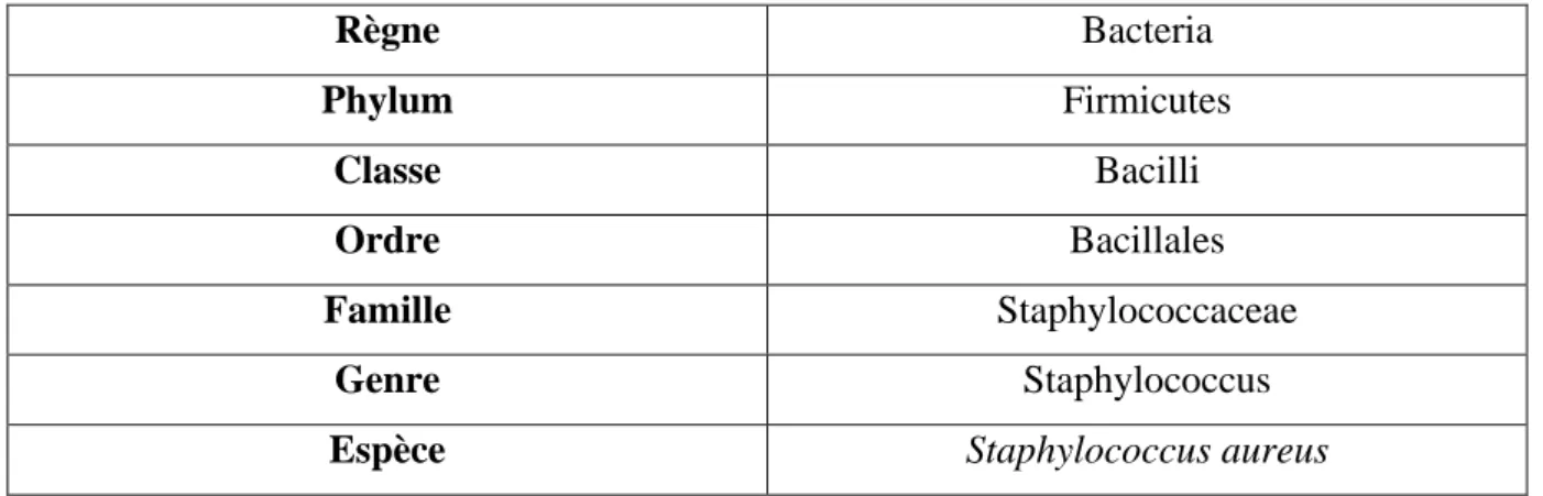 Tableau 12 : Classification de Staphylococcus aureus (Belkacem, 2017). 