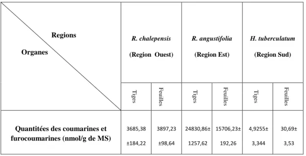 Tableau 6: Quantification des coumarines et furocoumarines  par UPLC/MS des tiges et des  feuilles des trois espèces étudiées (en nmol / g de  matières sèche)