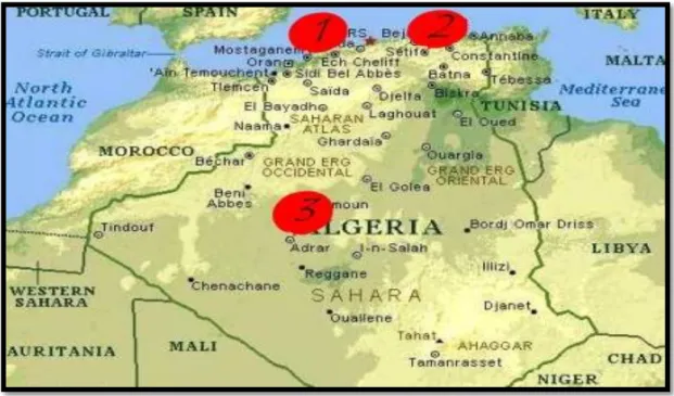 Figure 11: Carte de situation géographique  des différentes zones d’étude. 1 : Mostaganem  (Ouest Algérien), 2 : Bordj Bou Arreridj (Est), 3 : Adrar (Sud)