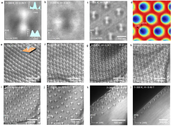 Figure 3. Room temperature skyrmions in Mn 1.4 Pt 0.9 Pd 0.1 Sn. a, Under-focused LTEM image  of a single antiskyrmion with field applied along [001] direction