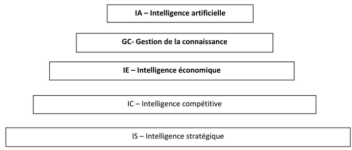 Figure 7 : Hiérarchie des systèmes d’intelligence