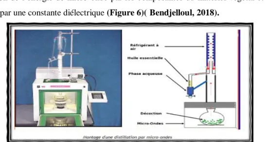 Figure 6 : Schéma du principe de la technique d’extraction à froid (Lucchesi, 2005). 