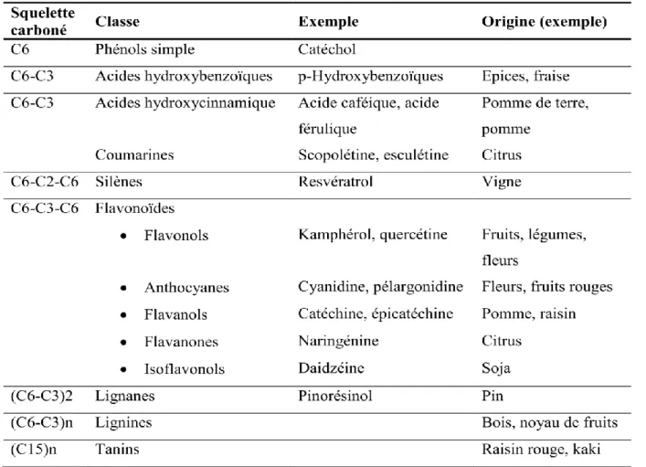 Tableau 1 : Les principales classes des composés phénoliques. 