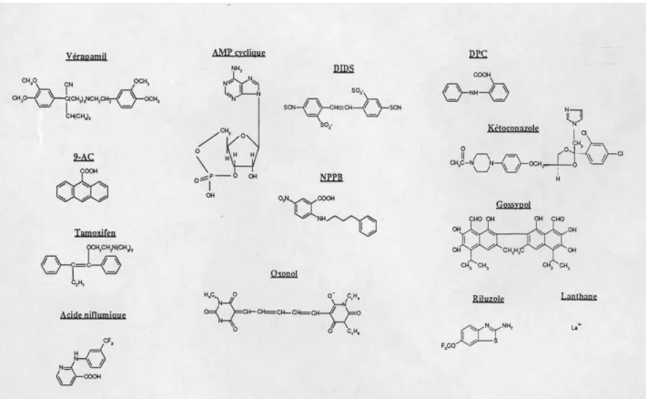 Figure 20: Formules chimiques développées des inhibiteurs des courants anioniques utilisés.