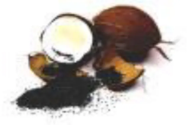 Figure 3. Charbon actif à base de noix de coco. 