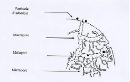 Figure 4. Structure du charbon actif. 