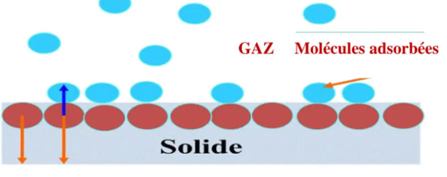 Figure 2. Principe du phénomène de l’adsorption. 