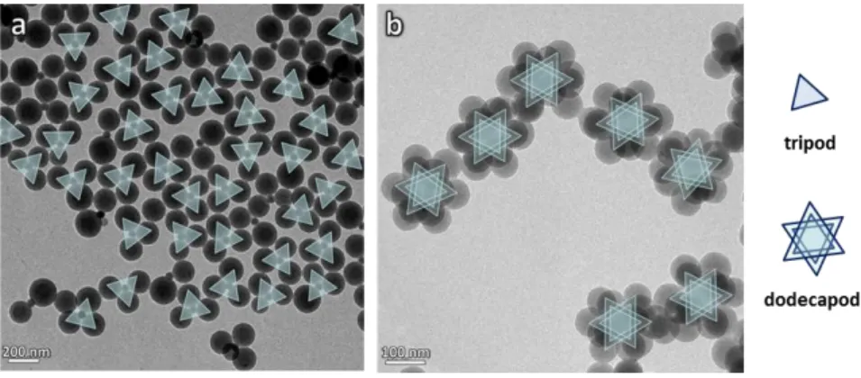 Fig. 5 Typical TEM images of PS/silica clusters obtained by styrene emulsion polymerization from silica seeds in different  experimental conditions described in Table 5: (a) Entry #5.1; (b) Entry #5.4