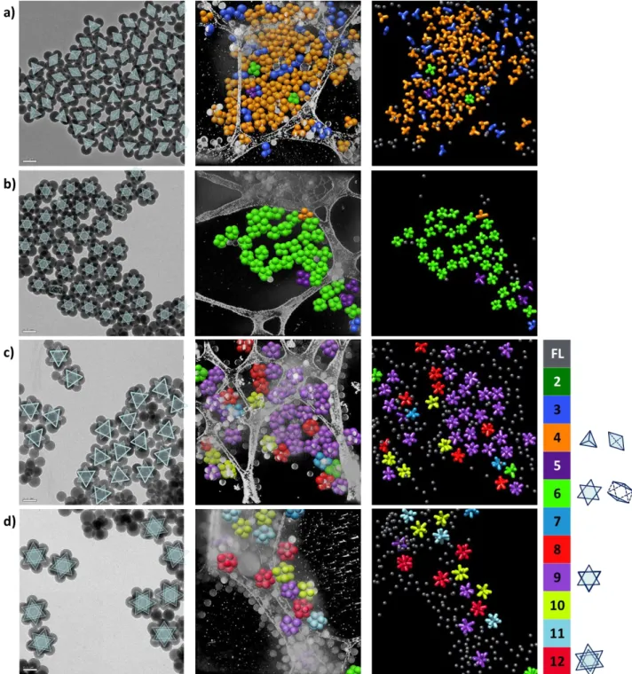 Fig. 1. Typical TEM images and 3D-reconstruction volumes of PS/silica clusters obtained by styrene emulsion polymerization from  silica seeds of different diameters: a) 55 nm (Entry #2.2); b) 85 nm (Entry #2.4); c) 123 nm (Entry #2.7); d) 146 nm (Entry #2.