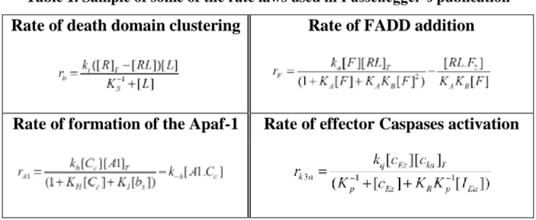 Table 1. Sample of some of the rate laws used in Fussenegger’s publication  Rate of death domain clustering Rate of FADD addition