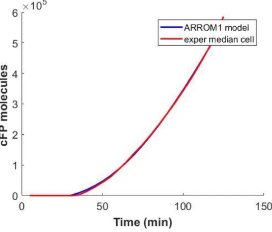 Figure 10.  Fitting the median_cell of the HeLa-cell population treated with TRAIL at 50ng/ml