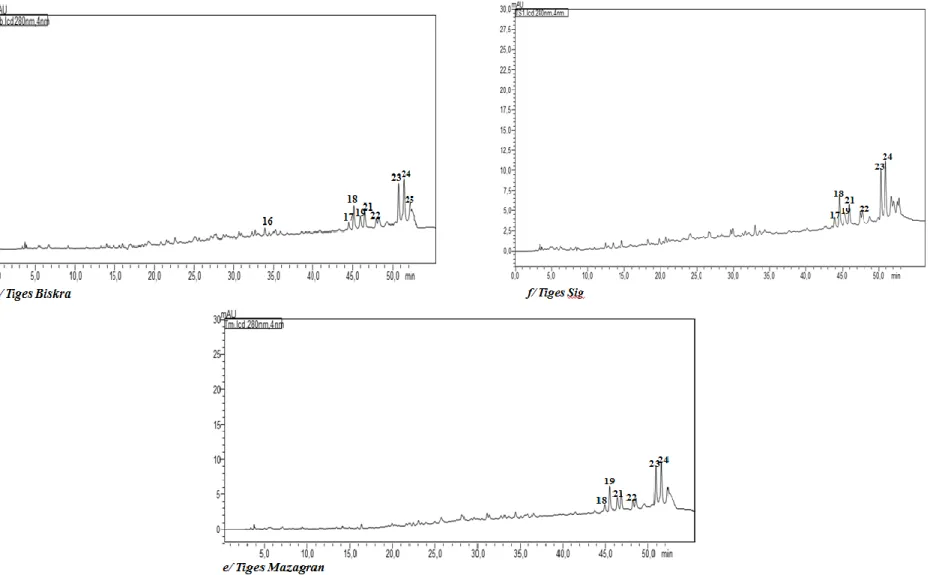 Figure  31.  Profils  phytochimiques  des  extraits  éthanoliques  d‘A.  halimus    des  feuilles  et  des  tiges  de  Biskra  (a,  d),  de  Sig  (c,  f)  et  de  Mazagran (b, e) par la méthode de chromatographie à haute performance (HPLC-DAD) à 280 nm