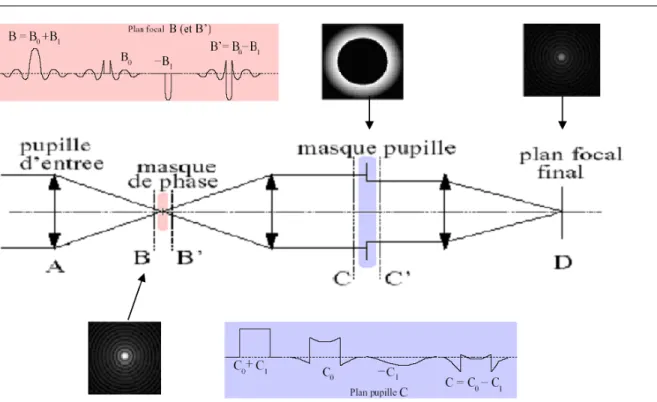 Fig. 2.3  Principe du Coronographe à masque de phase et distribution d'intensité au niveau des diérents plans (Thèse O