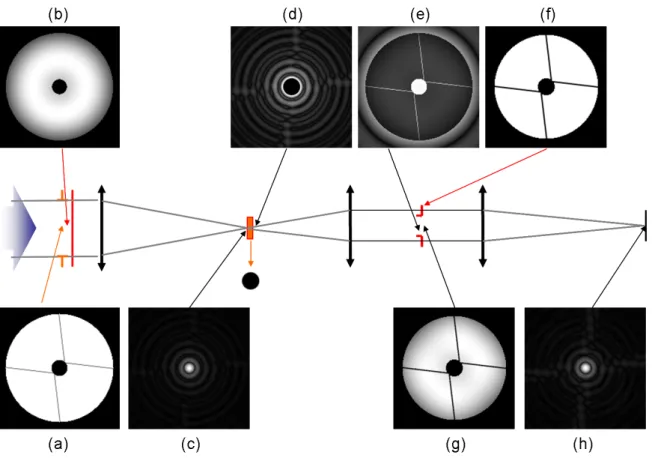 Fig. 2.1  Principe du coronographe de Lyot apodisé avec représentation de ces composants principaux (èches orange/rouge) et des images dans les diérents plans (èches noires) dans le cas de l'ALC optimisé pour l'instrument VLT-SPHERE : (a) pupille d'entrée 