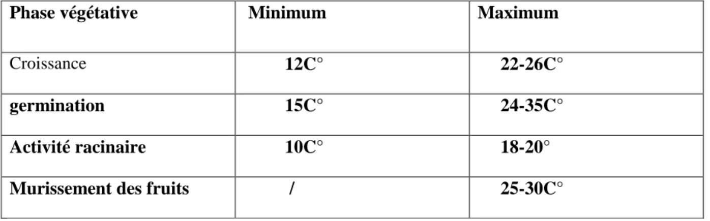 Tableau  N°  6  :  les  températures  minimales  et  maximales  nécessaires  au  développement  du  melon selon les phases végétatives