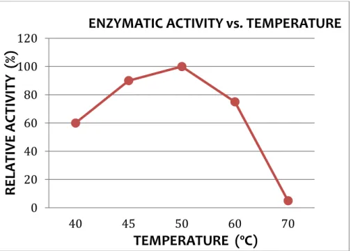 Figure  05:      Courbe  de  l’activité  enzymatique  de  la  Transglutaminase  en  fonction  de  la  température