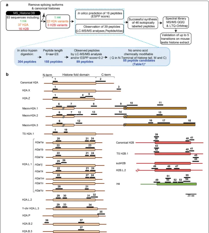 Fig. 3  Signature peptides used to quantify H2A and H2B variants by targeted proteomics