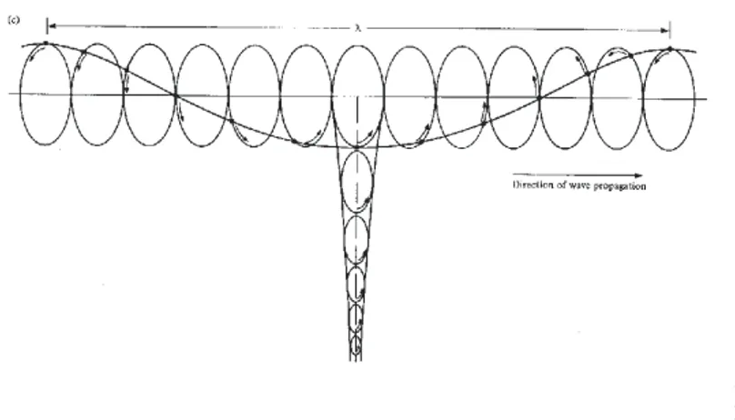 Fig. 2.4: Polarisation de l’onde de Rayleigh et diminution exponentielle avec la profondeur