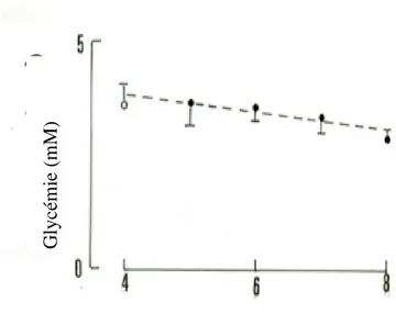 Figure 9. Evolution de la glycémie postprandiale des Psammomys témoins jeûneurs (n=4)