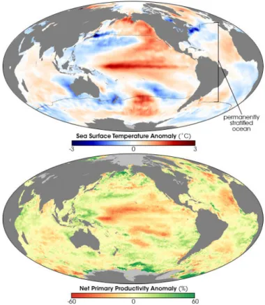 Figure 1.5: Correlation between warming and Net Primary Production change - Change in average Sea Surface Temperature (upper figure) and Net Primary Production (figure below) during the 1999 to 2004 period (adapted from Behrenfled et al