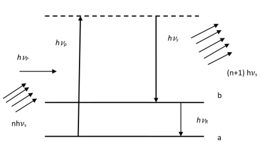Figure 20: Processus de diffusion Raman stimulée .  II.11 Les techniques expérimentales  