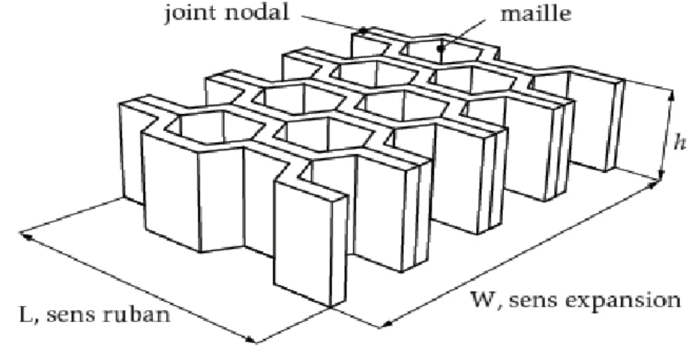 Figure I.7. Désignations d’une âme nid d’abeilles [1]. 