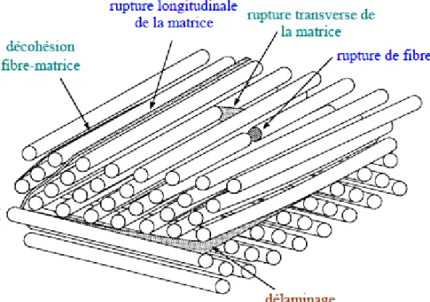 Figure II.3. Mécanisme de rupture d’un stratifié [4,14]. 