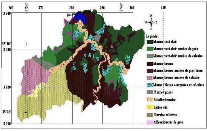 Fig. 15: Carte des types de marnes de la partie occidentale   du bassin versant d‟oued Mina (Kouri, 1993)   
