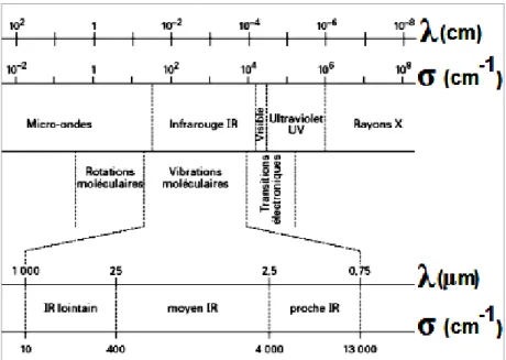 Figure 7 : Spectre électromagnétique correspondant à l’infrarouge 